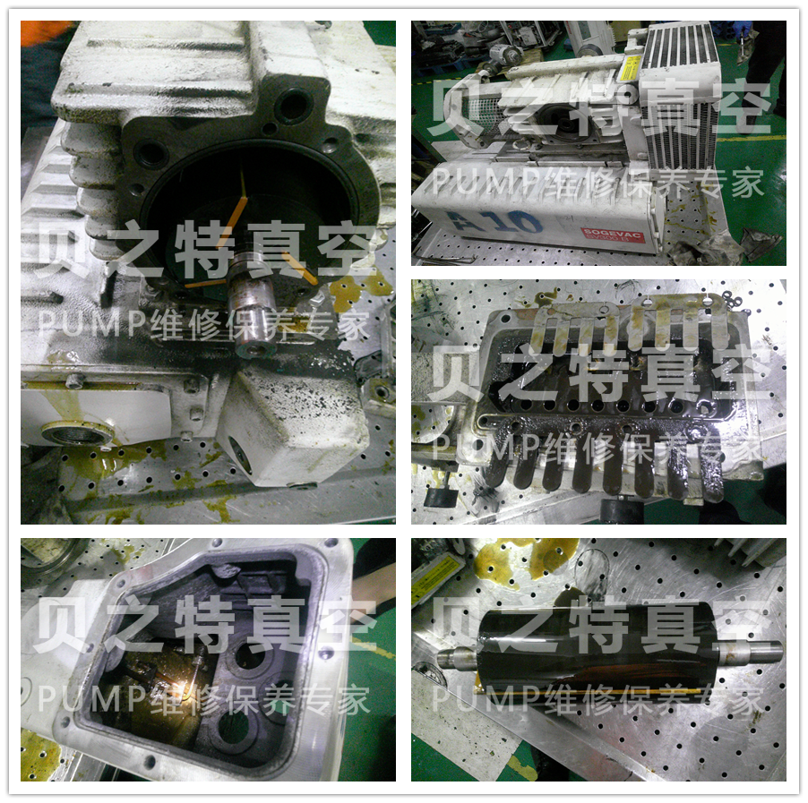 SV300B真空泵维修
