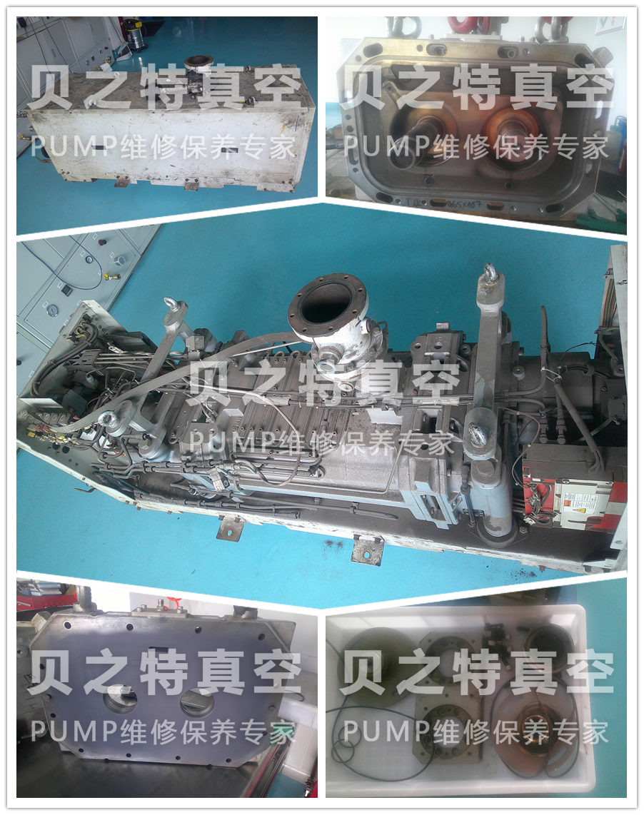 爱德华GXS750真空泵维修保养