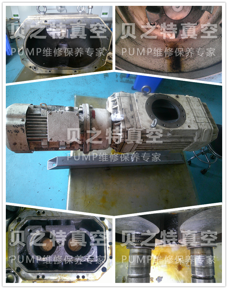 普旭罗茨真空泵WP1250D2维修保养