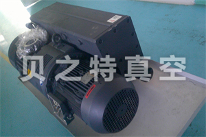 普旭ra0305d.jpg