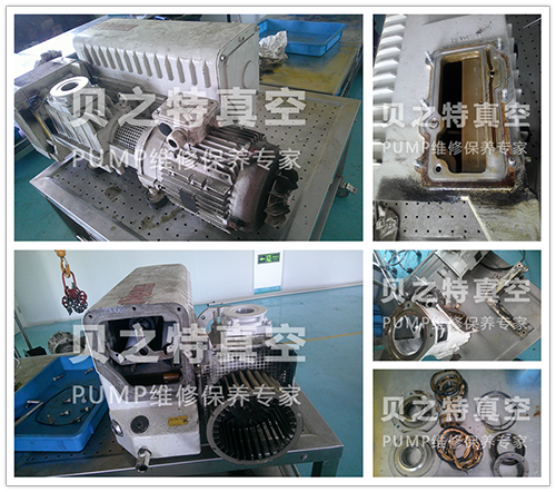 莱宝SV300B-7-发布.png