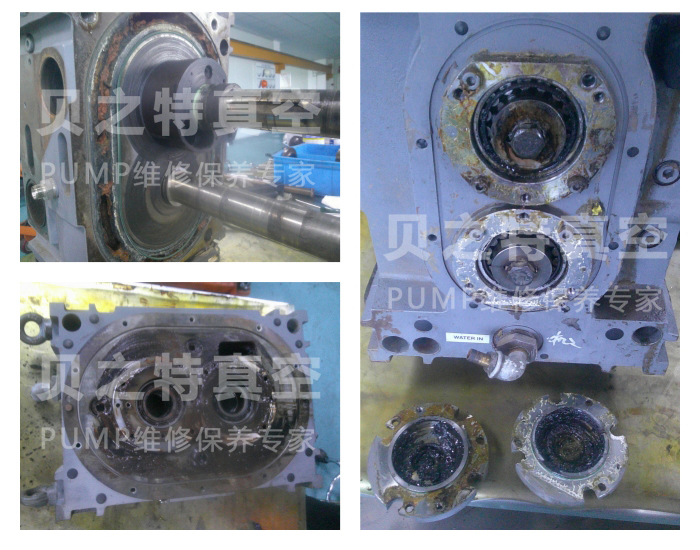 爱德华gv400-02.jpg