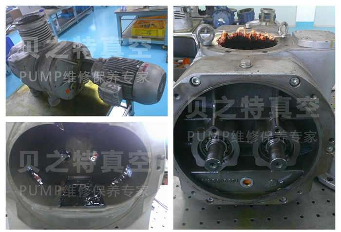 普旭wv1000b-01.jpg
