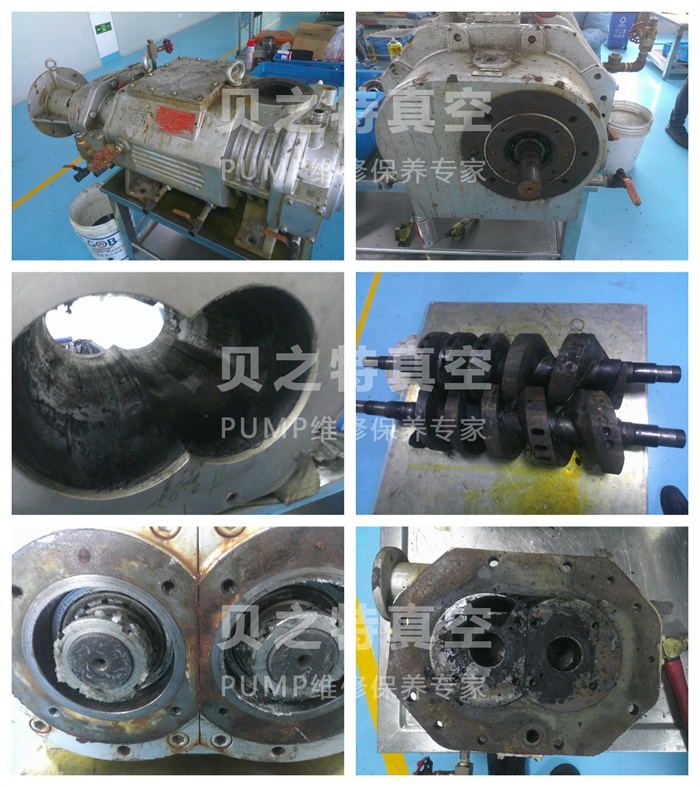 vps-1水印ok.jpg