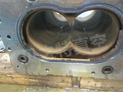 ANMP0124.jpg