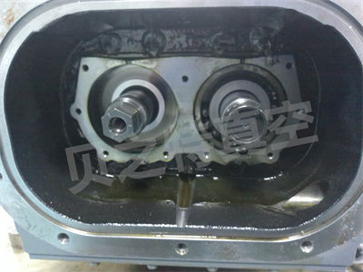 ANMP0115.jpg